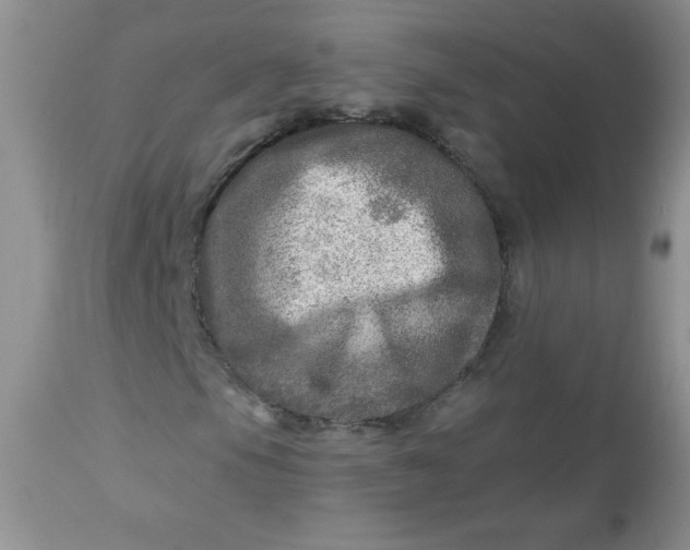 X0000113571105200910091432