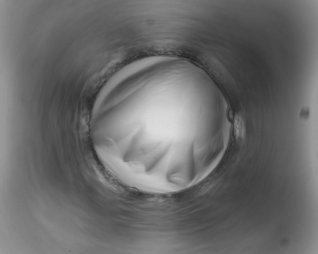 X0000113571107200910091432