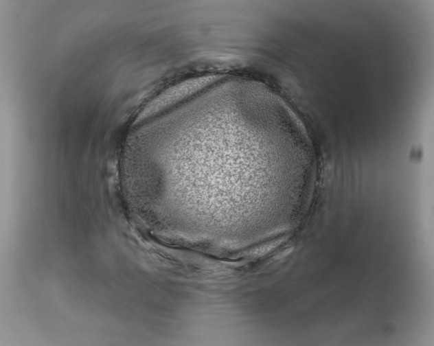 X0000113571109200910091432