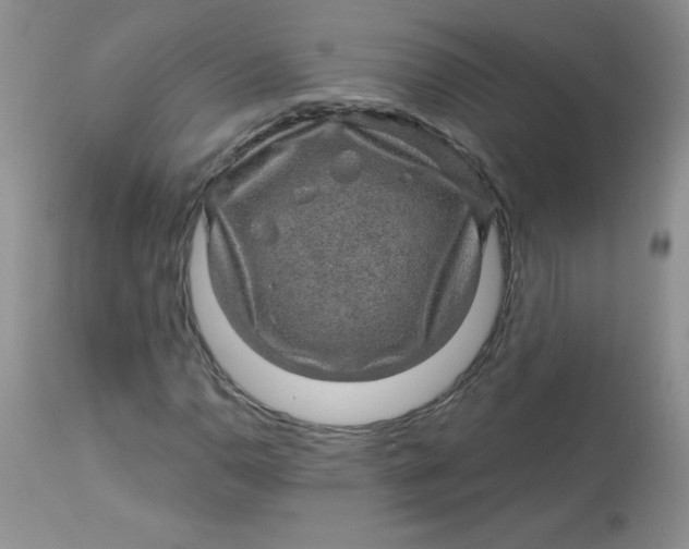 X0000113571110200910091432