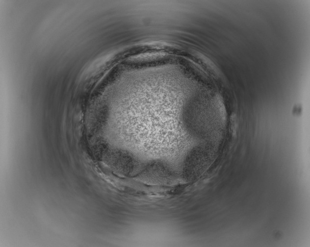 X0000113571111200910091432