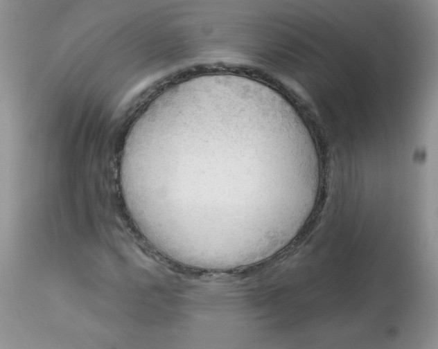 X0000113571112200910091432