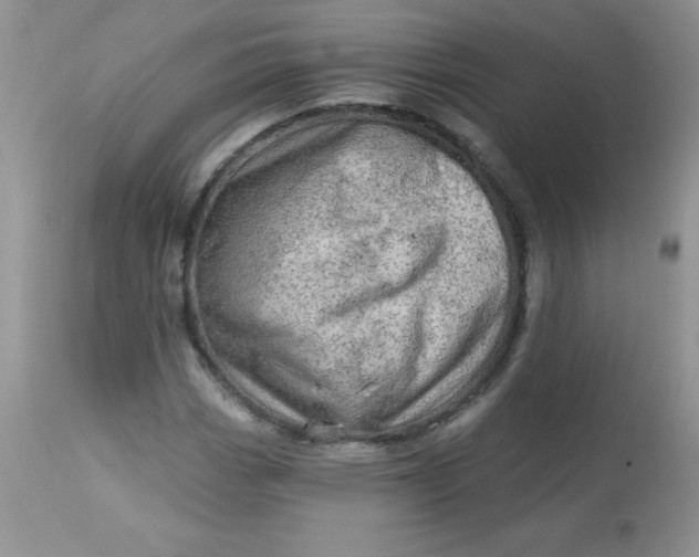 X0000113571113200910091432