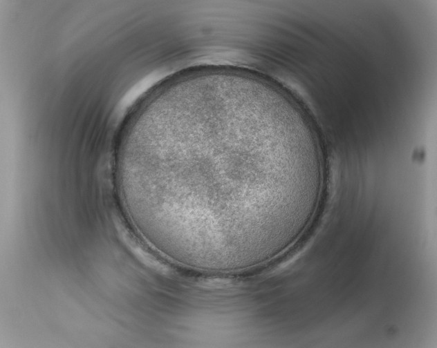 X0000113571114200910091432