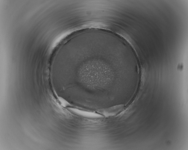 X0000113571115200910091432