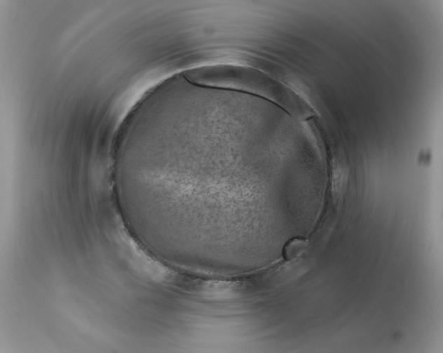 X0000113571116200910091432