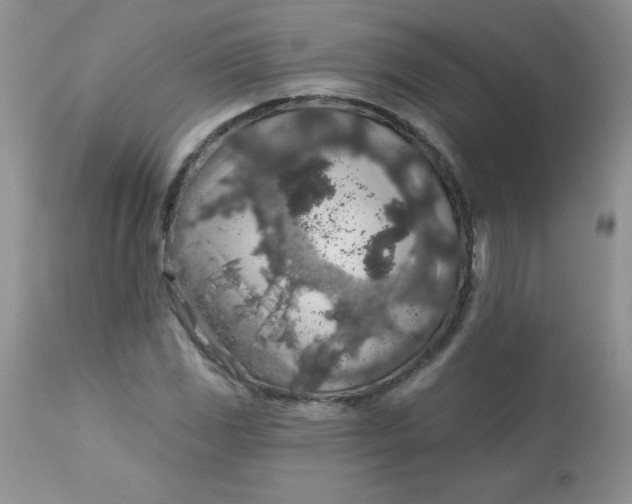 X0000113571117200910091432