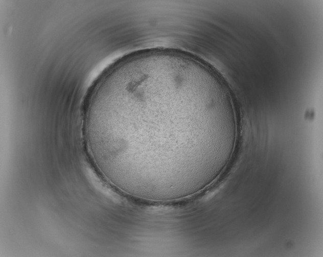 X0000113571118200910091432