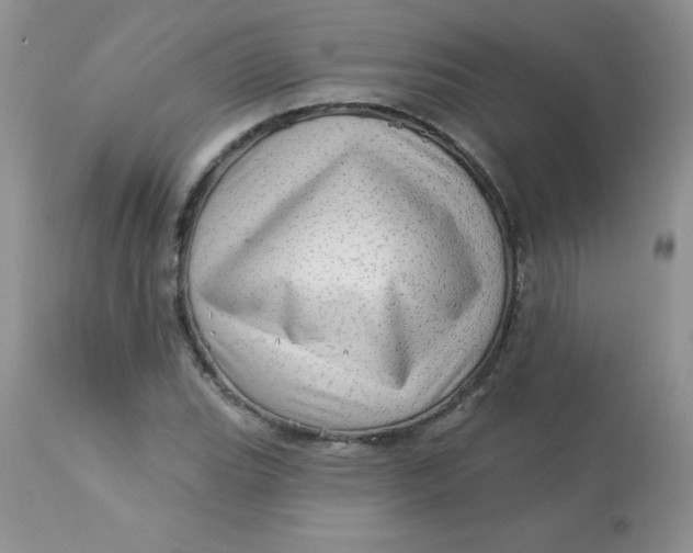 X0000113571119200910091432