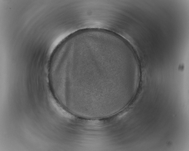 X0000113571120200910091432