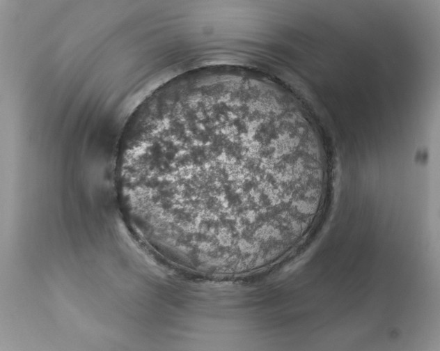 X0000113571121200910091432