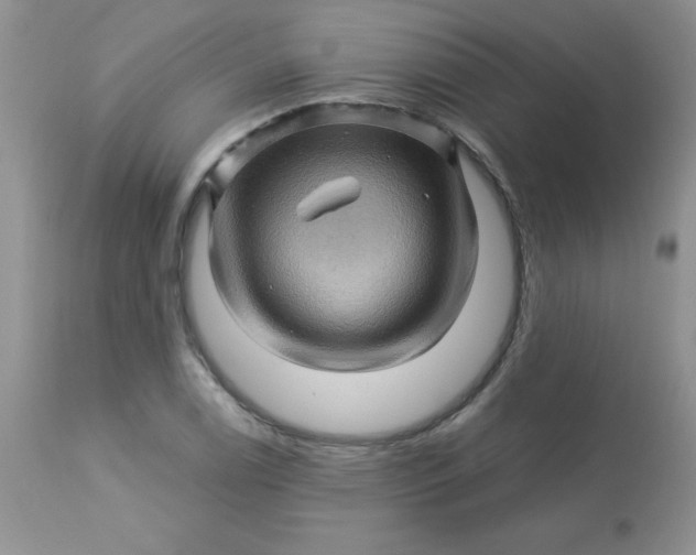 X0000113571122200910091432