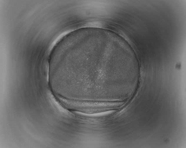 X0000113571123200910091432