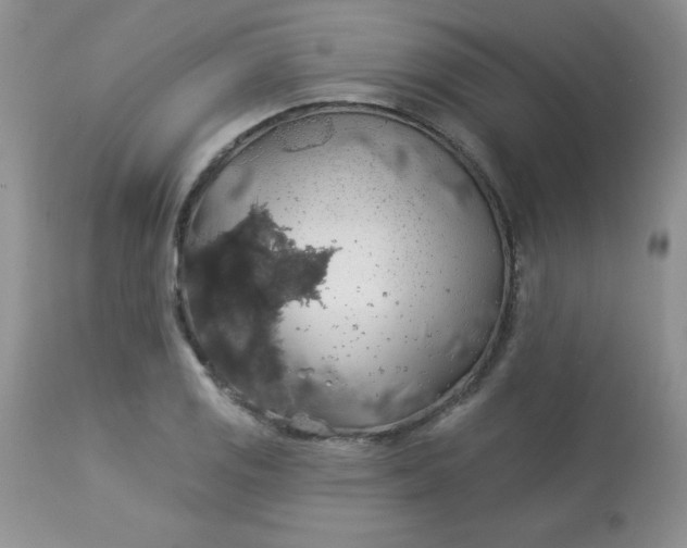 X0000113571125200910091432