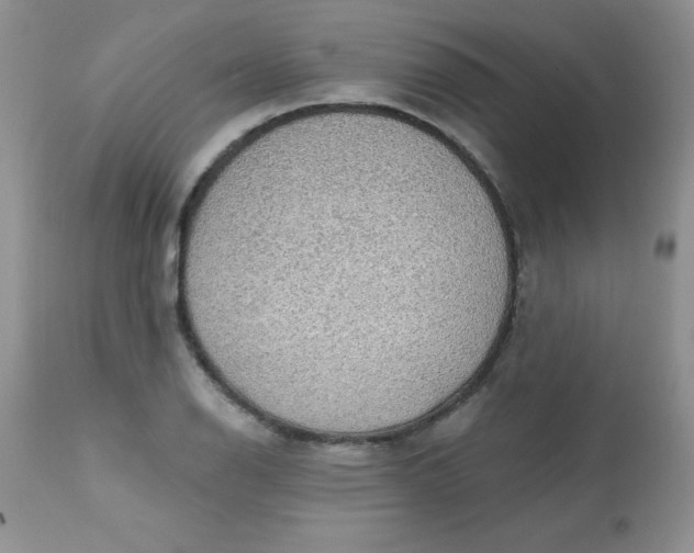 X0000113571126200910091433