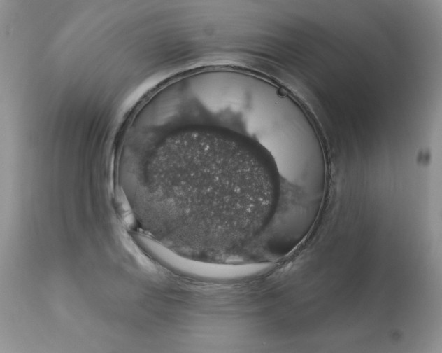 X0000113571127200910091433