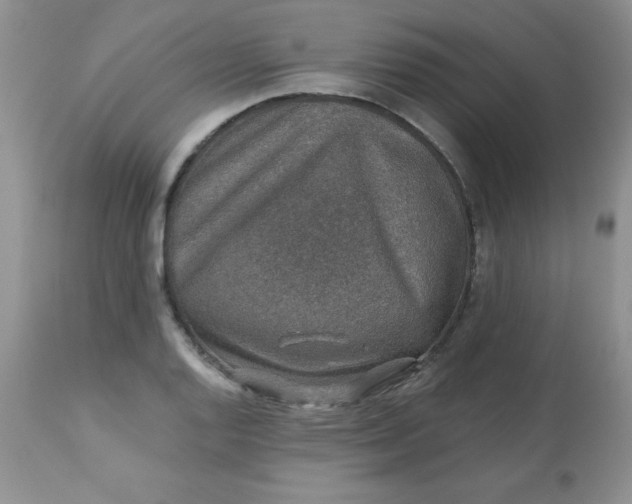 X0000113571128200910091433