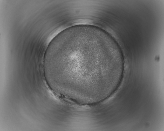 X0000113571129200910091433