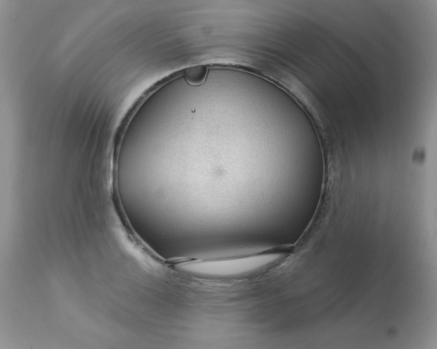 X0000113571132200910091433