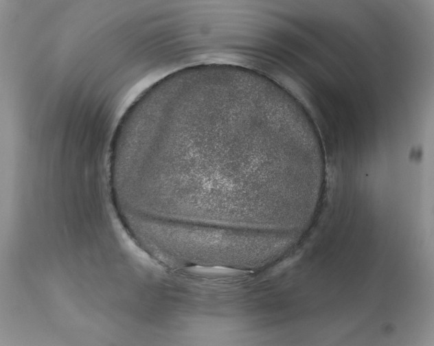 X0000113571133200910091433