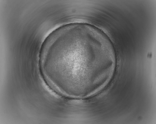 X0000113571134200910091433