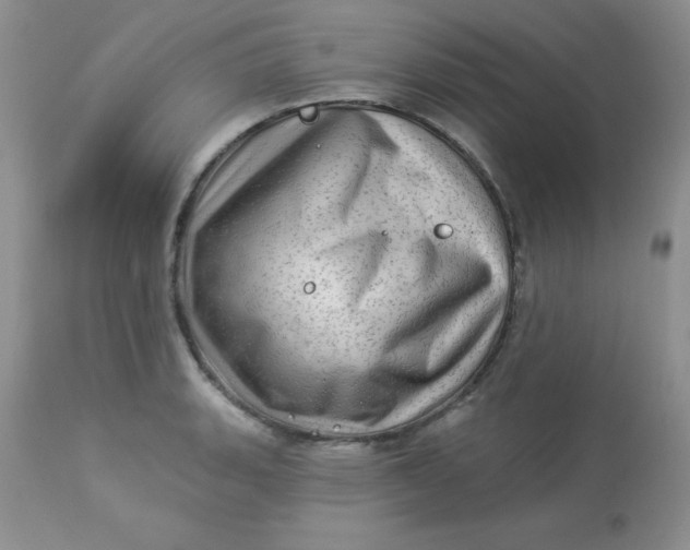 X0000113571135200910091433