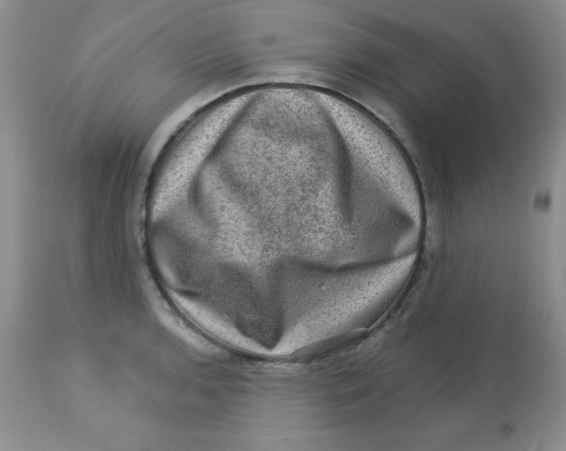 X0000113571136200910091433