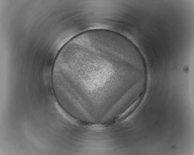 X0000113571137200910091433