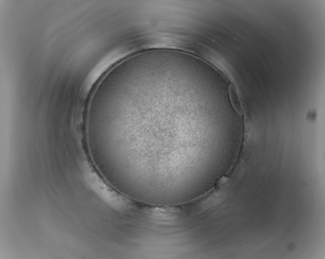 X0000113571138200910091433