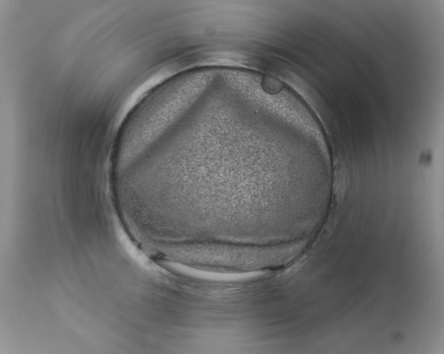 X0000113571139200910091433