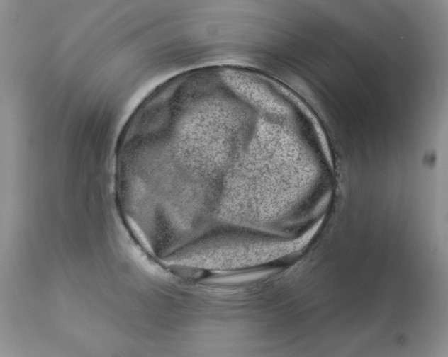 X0000113571140200910091433