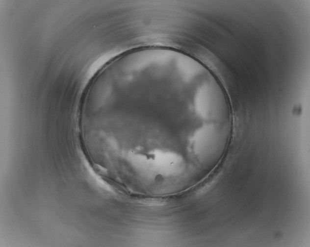 X0000113571141200910091433