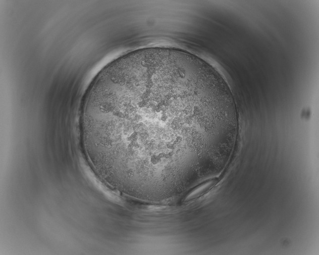 X0000113571142200910091433