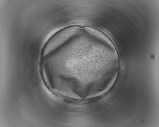 X0000113571147200910091433