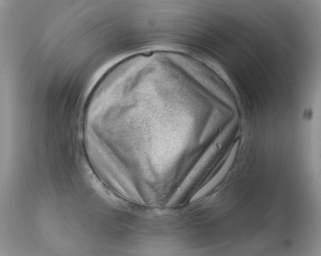 X0000113571148200910091433