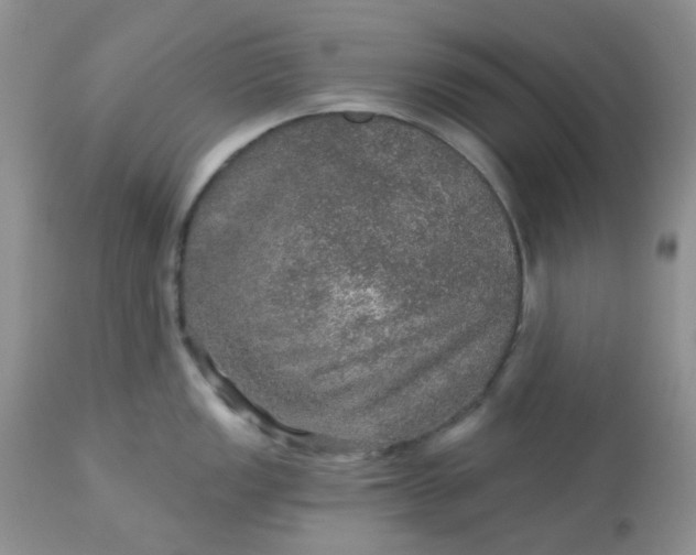 X0000113571149200910091433