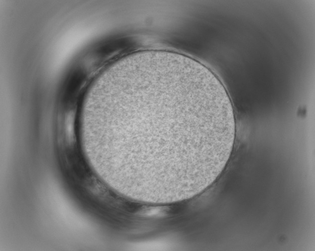 X0000113571150200910091433