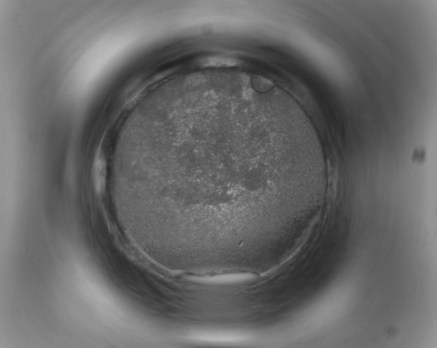 X0000113571151200910091433