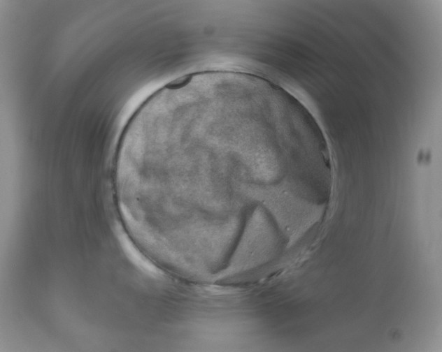 X0000113571152200910091433