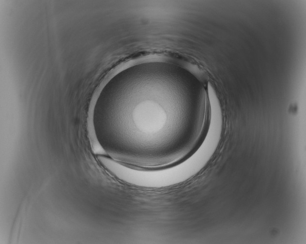 X0000113571153200910091432