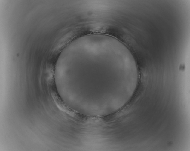 X0000113571154200910091432