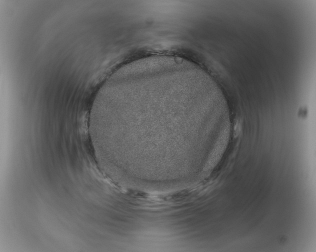 X0000113571156200910091432