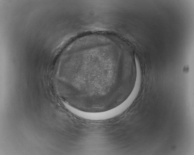 X0000113571157200910091432