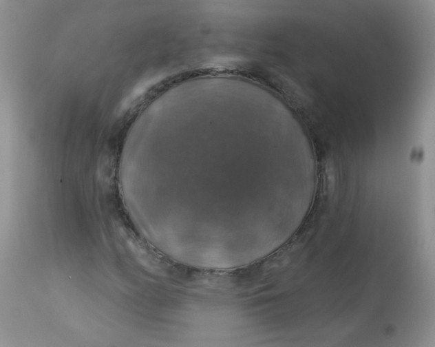 X0000113571158200910091432