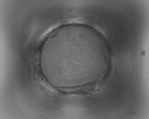 X0000113571159200910091432