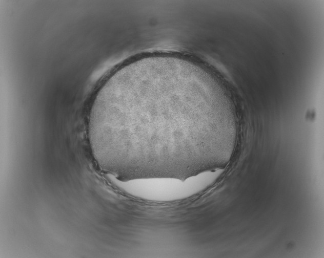 X0000113571160200910091432