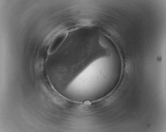 X0000113571161200910091432