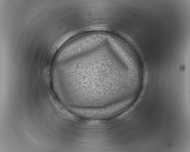 X0000113571162200910091432