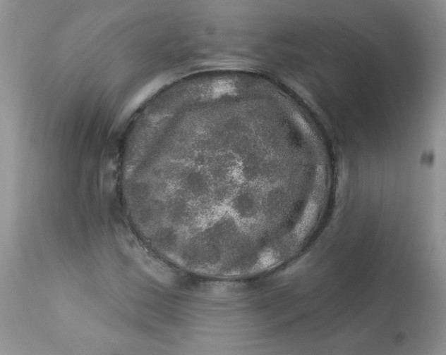 X0000113571163200910091432