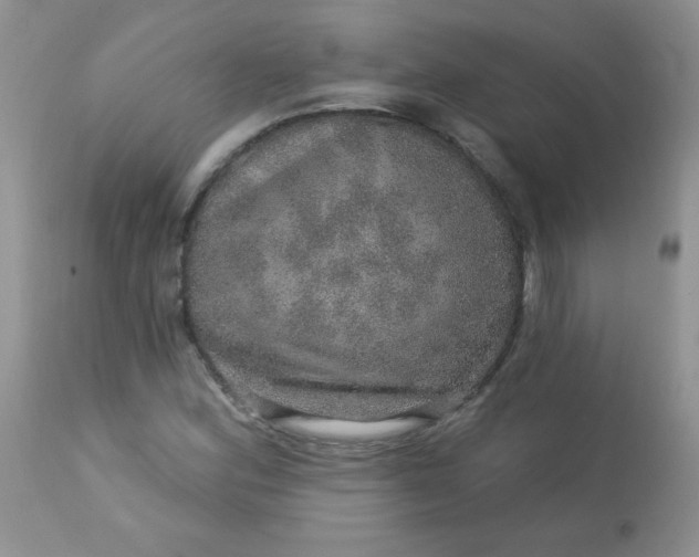 X0000113571164200910091432